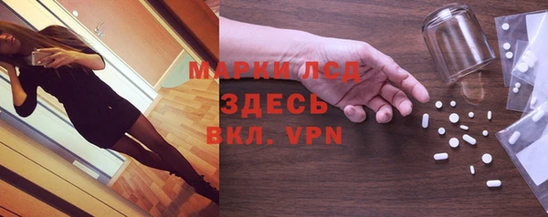 ГАЛЛЮЦИНОГЕННЫЕ ГРИБЫ Лагань
