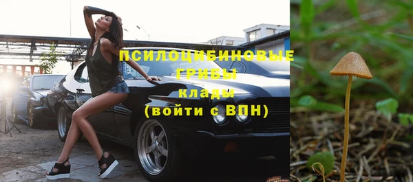 индика Лабытнанги