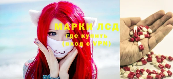 индика Лабытнанги