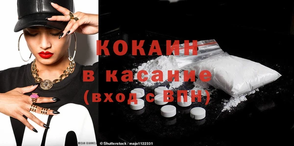 индика Лабытнанги