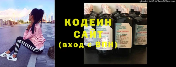 ГАЛЛЮЦИНОГЕННЫЕ ГРИБЫ Лагань