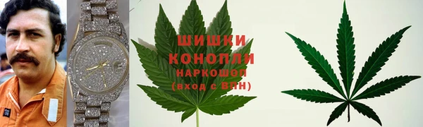 индика Лабытнанги