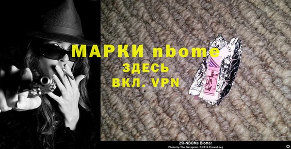 индика Лабытнанги