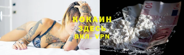 ГАЛЛЮЦИНОГЕННЫЕ ГРИБЫ Лагань