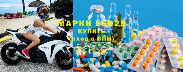 ГАЛЛЮЦИНОГЕННЫЕ ГРИБЫ Лагань