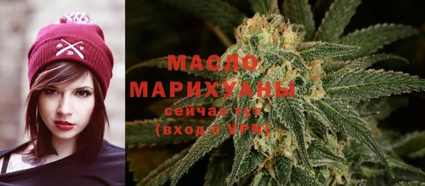 индика Лабытнанги