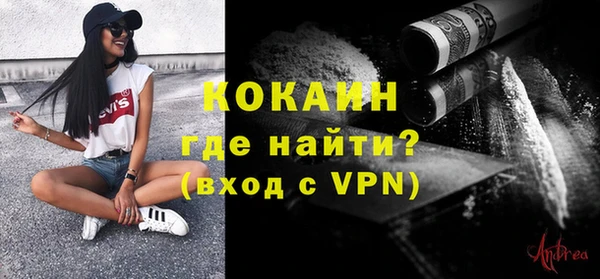 индика Лабытнанги
