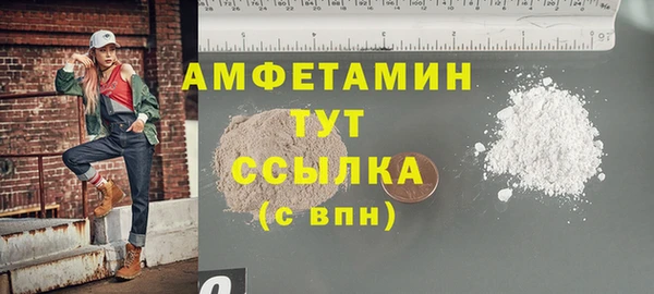 индика Лабытнанги
