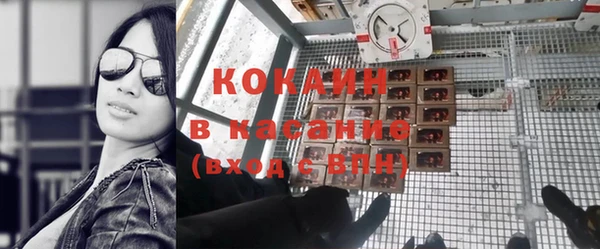индика Лабытнанги