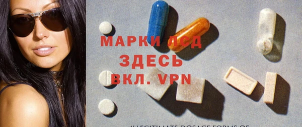 индика Лабытнанги