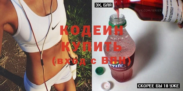 ГАЛЛЮЦИНОГЕННЫЕ ГРИБЫ Лагань