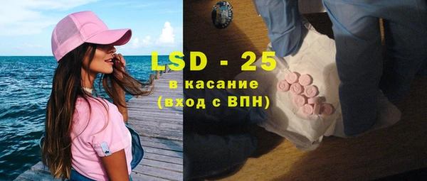 ГАЛЛЮЦИНОГЕННЫЕ ГРИБЫ Лагань