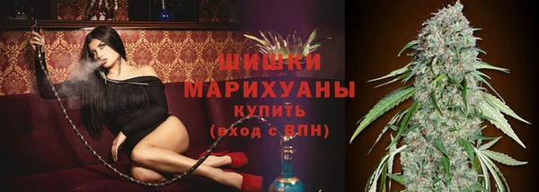 ГАЛЛЮЦИНОГЕННЫЕ ГРИБЫ Лагань