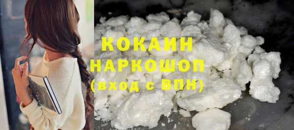 индика Лабытнанги